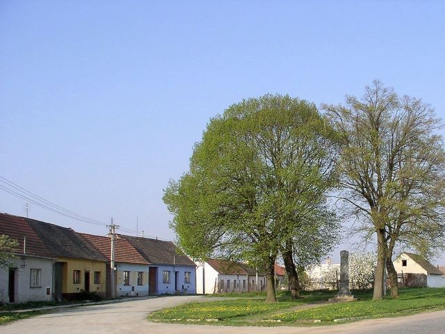 Vyklízení Oleksovice